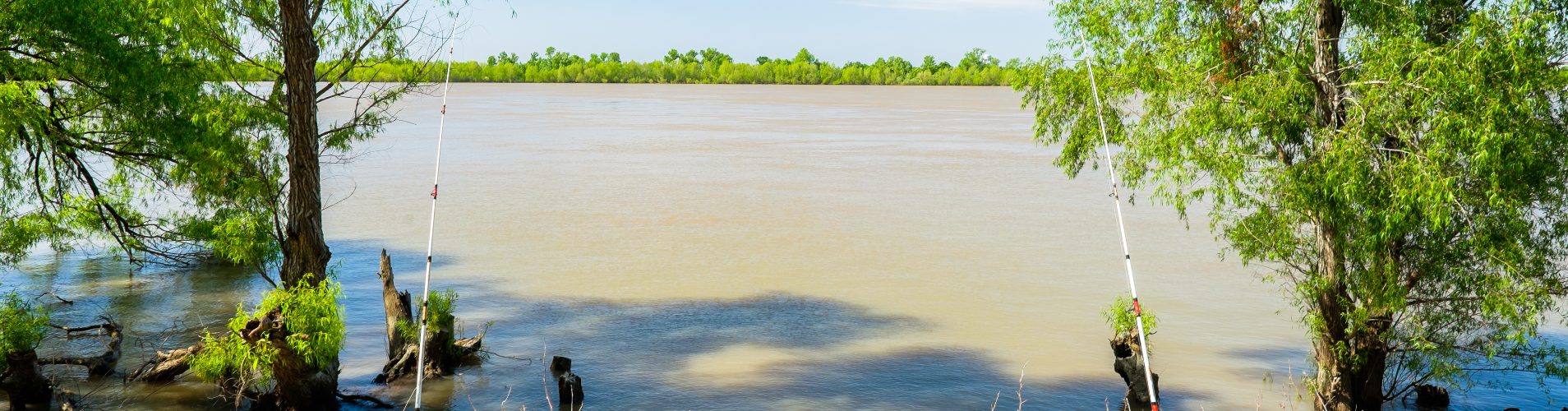 Fishing in the river.